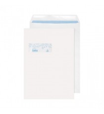 Evolve C4 Env Wndw Slf Seal White Pk250