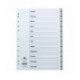 Concord Jan-Dec Index PP A4 Grey