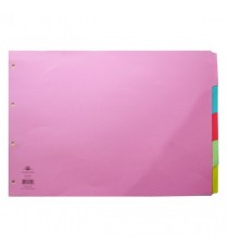 Concord 5-Pt Oblong Subj Divider A3 Astd