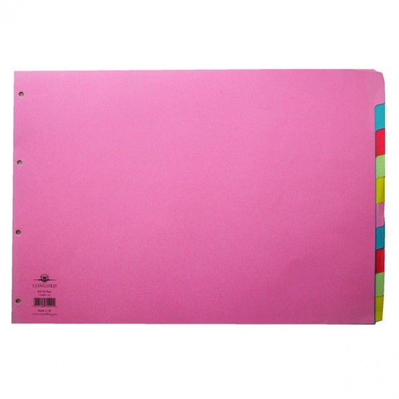 Concord 10Pt Oblong Subj Divider A3 Astd