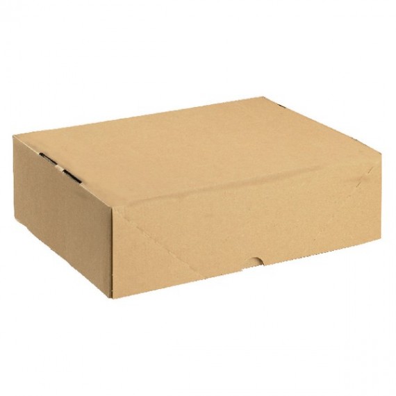 Brown Carton with Lid 305x215x100mm Pk10