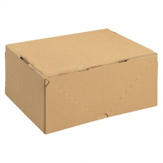 Brown Carton with Lid 305x215x150mm Pk10