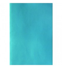 Cambridge Ruled Perf Notebook A4 Pk10