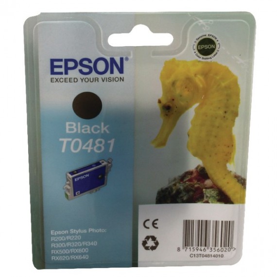 Epson Inkjet Cartridge Black R300 RX500