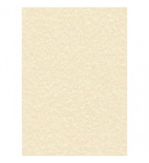 Decadry Paper 95gsm Pk100 Parchment