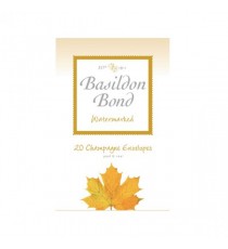Basildon Bond Env Small Champagne Pk20