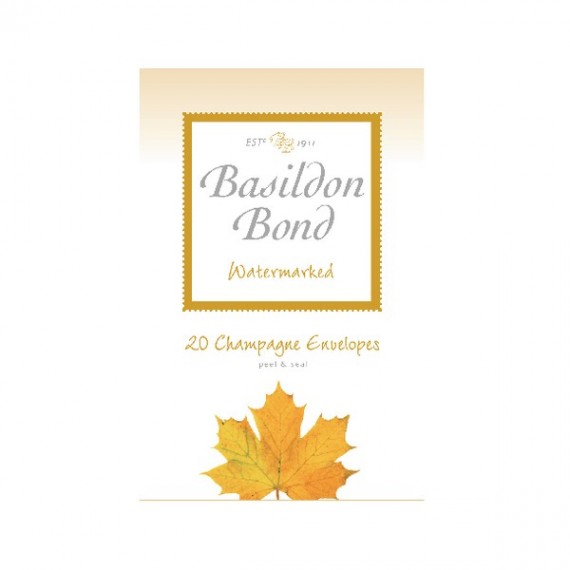 Basildon Bond Env Small Champagne Pk20