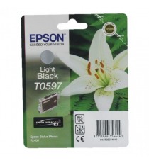 Epson Inkjet Cartridge R2400 Light Black