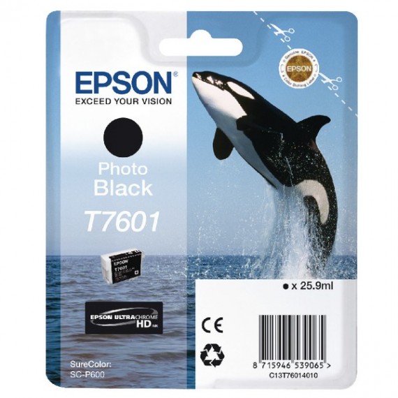 Epson Ink Cartridge Photo Black T7601