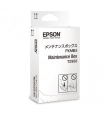Epson WF-100W Maintenance Box C13T295000